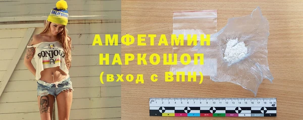крисы Тайга