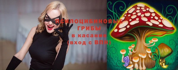 винт Сясьстрой