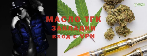 крисы Тайга