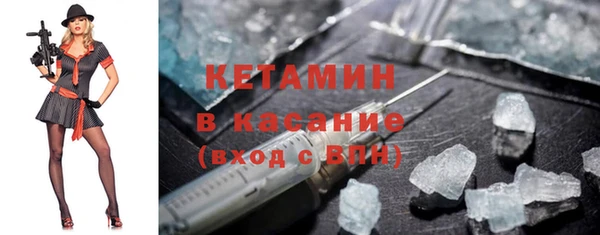 крисы Тайга