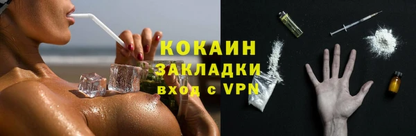 крисы Тайга