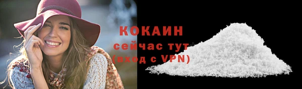 крисы Тайга