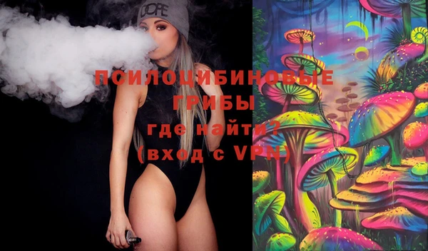 стаф Тавда