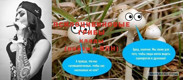 стаф Тавда