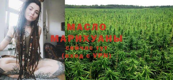 крисы Тайга