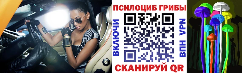 купить наркотики сайты darknet наркотические препараты Галлюциногенные грибы Psilocybe Оренбург