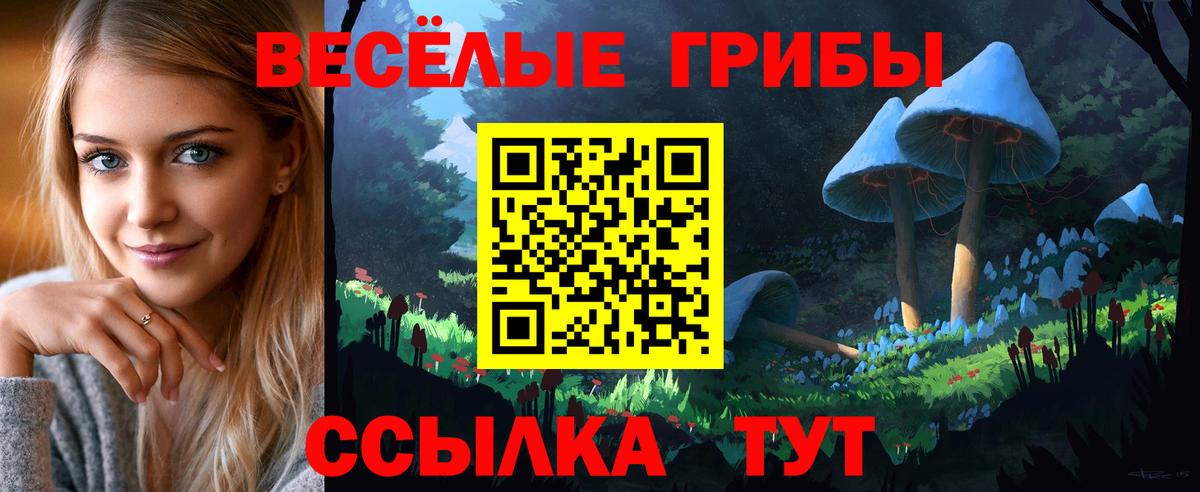 Псилоцибиновые грибы Cubensis Оренбург